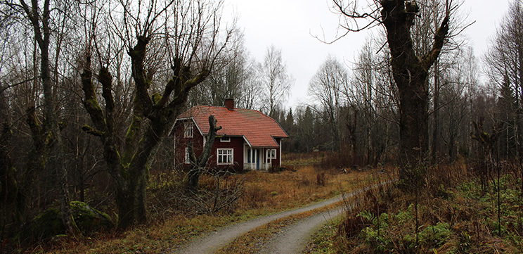 Ett rött hus i skogen.