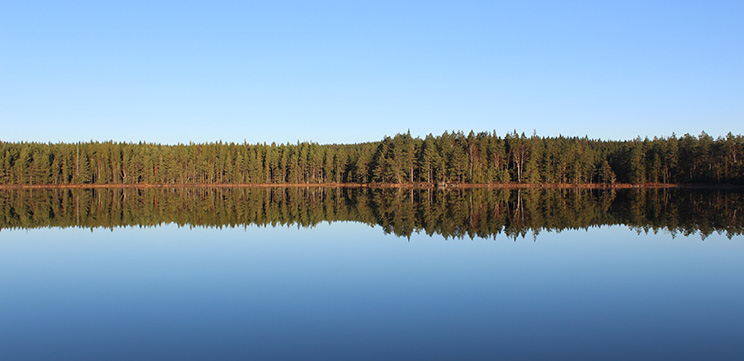 En spegelblank sjö där skogen speglar sig i vattnet.