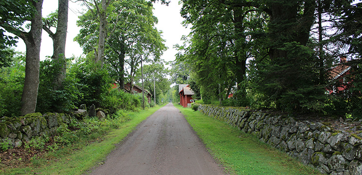 Grusväg med stenmur på båda sidor om vägen.