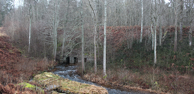 En hög banvall i skogen, med en å under som passerar genom tre stentrummor. 